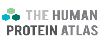 The Human Protein Atlas logo